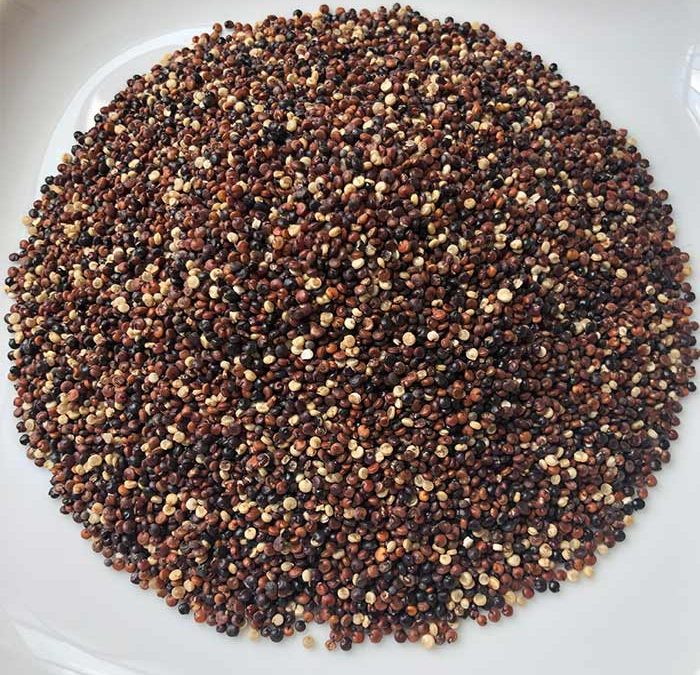 quinoa recipe